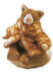 Catalina - Cat in Coat - 8 1/2"