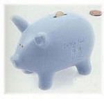 Cherished Moment: Large Bank - Blue - 8 x 6"