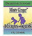 Minty Ginger - For Stomach Aches and Digestive Complaints