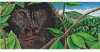 Belgian Milk Chocolate & Pecan Praline - From The Endangered Species Chocolate - Gorilla Bar