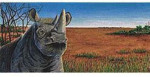 Belgian Dark Chocolate & Hazelnut Toffee - From The Endangered Species Chocolate - Black Rhino