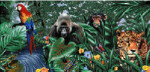 Belgian Dark Chocolate & Dark Forest Mint - From The Endangered Species Chocolate - Rainforest Bar
