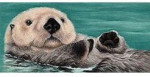 Belgian Milk Chocolate & Wild Berry Tea Brittle - From The Endangered Species Chocolate - Otter Bar