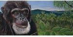 Smooth Belgian Dark Chocolate - From The Endangered Species Chocolate - Chimpanzee Bar