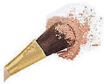 Blush - Cosmetic Make-up Brush - Ecco Bella Botanicals
