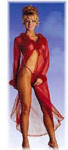 Sheer & Maribou Gown with Panty - One Size - Pink