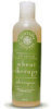 Environmentally Safe - Health - Wheat Therapy Shampoo All Natural - Honeybee Gardens