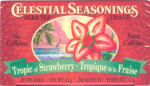 Tropic of Strawberry Tea