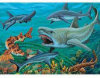 /trait101365/questc100027/critiquet120688Great American Puzzle Factory - Toys products - Sharks of the Sea - 100 Pieces