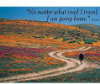 No Matter What Road I Travel, I Am Going Home - 550 Pieces