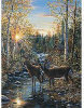 Whitetail Deer - 1000 Pieces