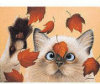 Frisky Feline - 300 Pieces
