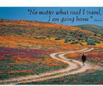 No Matter What Road I Travel, I Am Going Home - 550 Pieces
