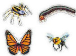 Crawly Bugs - 4 in 1 Puzzles