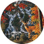 Sanctuary Falls - Round - 500 Pieces