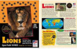 Lions - Young Explorers