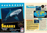 Sharks - Young Explorers