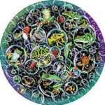 Bubble Frogs - Round - 500 Pieces