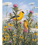 Golden Finches - 1000 Pieces