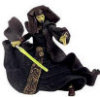 /trait100944/critiquet120657Hasbro - Toys products - Star Wars Episode II: Luminara Unduli - Jedi Master