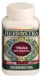Tribulus Terrestris 350 mg - 40% Saponins