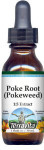 Poke Root - Liquid Extract / Tincture (1:5) - Alcohol-Free