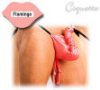 Coquette