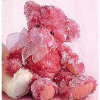 Sherry Rose Scented Beanbag Bear - Pink / 9"