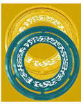 Coaster Flying Ring by Frisbee - Amber