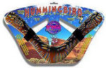 Hummingbird Boomerang - Wood