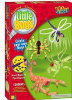 Creature Creation - Little Bugs - Medium Box