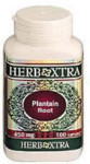 Plantain Root 450 mg