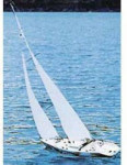 Sea Dolphin 770 - R/C