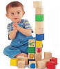 First Bricks