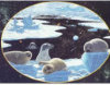 Arctic Dreams - 700 Pieces