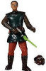 Star Wars: Captain Typho - Padmes Head of Security