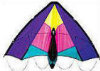 Sport Kites - Spectrum Rave Sport Stunter