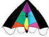Sport Kites - Cool Rave Sport Stunter