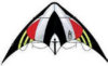 XL Stunt Kite