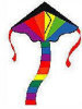 Super Flyer - Rainbow