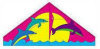 Delta - Dolphins 4.5 Foot Kite