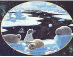 Arctic Dreams - 700 Pieces