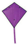 Sport Kites - Purple Aero Stunter