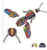 Build-A-Bug Magnet Double Set - Wonderboard