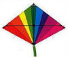 The Rage - Sunburst Kite with CD-ROM - 34" by 21"