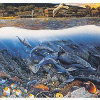 Seascapes - Lahaina Rhythms Land and Sea #2 - 750 Pieces
