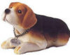 Bob-A-Long - Beagle - Purebred Puppies
