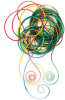 Colored Plastic Cord - 80 Feet -  - 80 ft