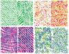 Texture Rubbing Plates - Package of 6 -