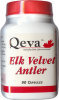 Qeva